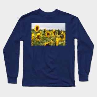 sunflowers Long Sleeve T-Shirt